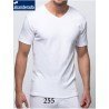 Pack 3 Camisetas  algodón térmica Abanderado 255